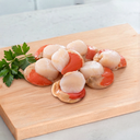 Conchas con coral y sin caparazón x 1Kg